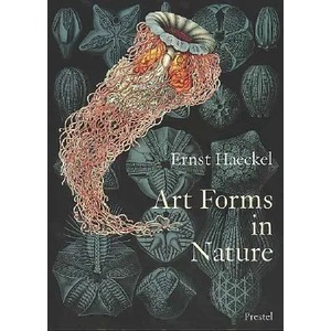 Art Forms in Nature | Olaf Breidbach (ISBN: 9783791319902)