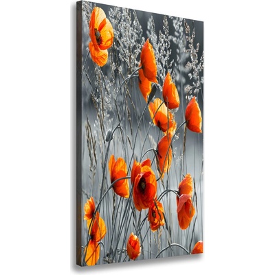 Vertikálny foto obraz na plátne do obývačky Polné maky 50x100 cm