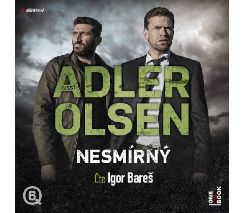 Nesmírný
