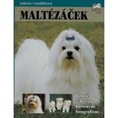 Maltézáček