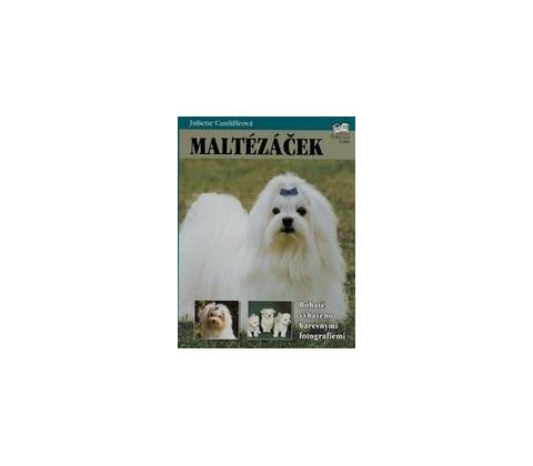 Maltézáček