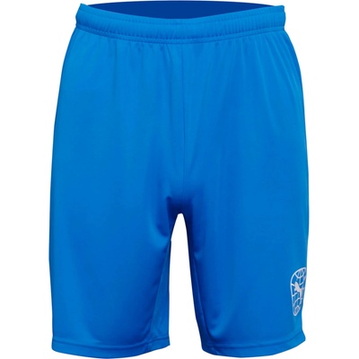 Puma RE Fibre Short modrá