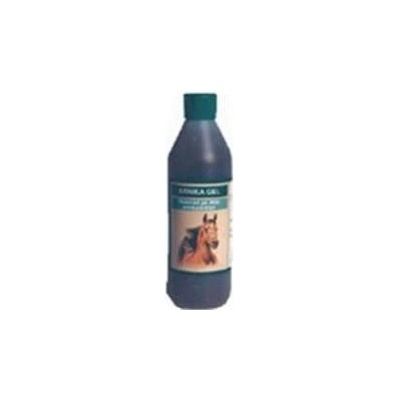 Arnika gel pro koně 2 x 500 ml
