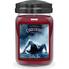 Candleberry Candle Sedm dní 624 g