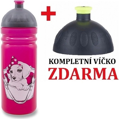 Zdravá lahev Psí slečna 700 ml