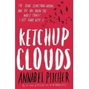 Ketchup Clouds - Annabel Pitcher