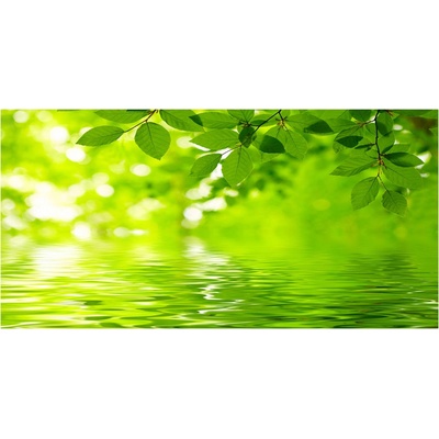 Foto-obraz fotografie na skle zelené lístie 100x50 cm