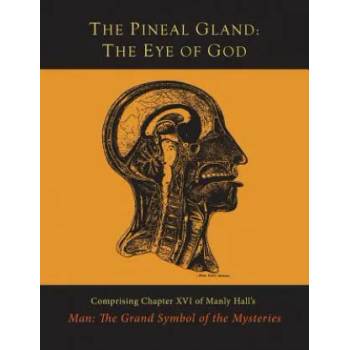 Image 1 of Pineal Gland