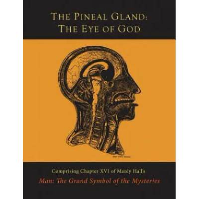 Pineal Gland