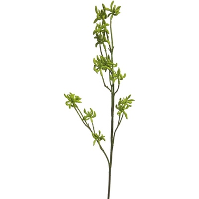 Blahovičník - Eukalyptus pupen (spray) zelený 68 cm