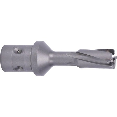 ABSE N-CA-F18-0130035