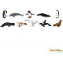 Safari Ltd. Tuba Antarktida