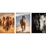 STREET Тетрадка с телчета А4, 60 листа, широки редове, БГ, Horses (25605-А-HORSES)