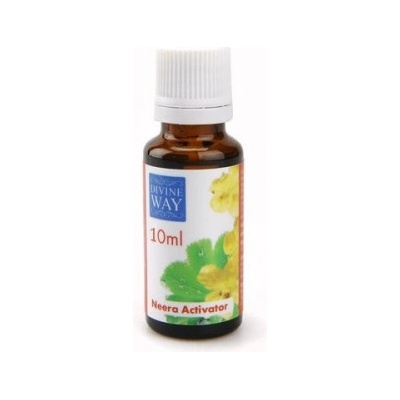 Divine Way Bioinformační bylinná tinktura 10 ml