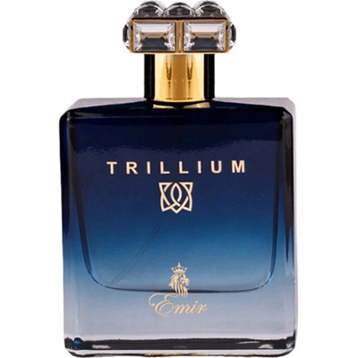 Paris Corner Trillium parfumovaná voda pánska 100 ml