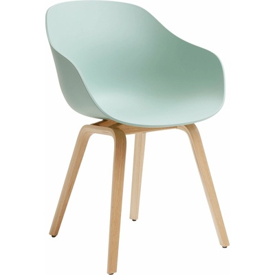 HAY AAC 222 Oak / Dusty mint