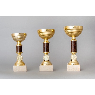 Zlatohnědý sportovní pohár 19 23 cm sada-tri-poharu – Zboží Dáma