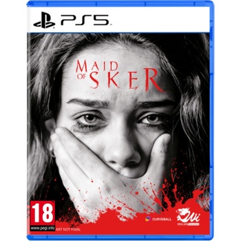 Perp Maid of Sker (PS5)