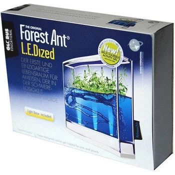 T.A.O.S. Forest Ant LEDized Antquarium