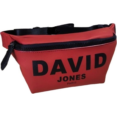 David Jones 6156-1