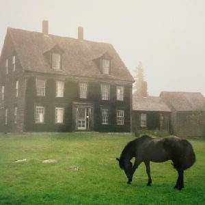 Lutalo - The Academy (Meadow Green Coloured) (LP) (0606638763524)