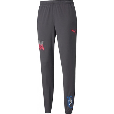 Puma NJR Trainingshose Schwarz F07 605600-007