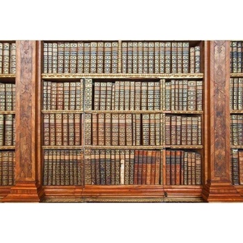 DIMEX ART s. r. o Флизелинов фототапет библиотека 375 x 250 см