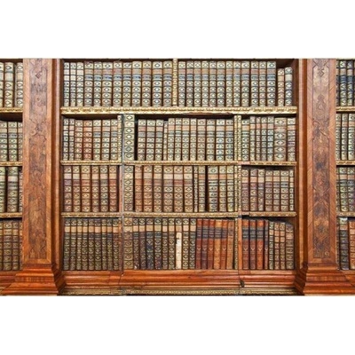 DIMEX ART Флизелинов фототапет библиотека 375 x 250 см