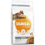 Iams Cat Adult Indoor Chicken 2kg (1753-150437)