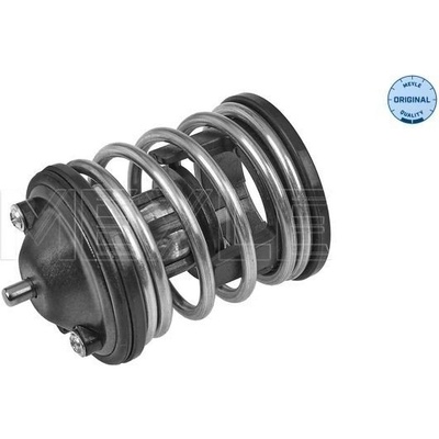 Termostat, chladivo MEYLE 328 228 0010 (3282280010)