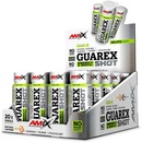Stimulanty a energizéry Amix Guarex Energy & Mental Shot 1200 ml