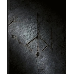 Bloodborne: Complete Guide (ISBN: 9783869931333)