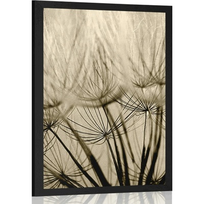 Plakát pampelišková semena v sépiovém provedení - 20x30 black