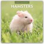 Browntrout Verlags GmbH Hamsters - Hamster 2027 - 16-Monatskalender | Red Robin Publishing Ltd