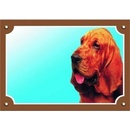 Dafiko Tabulka Bladhaund