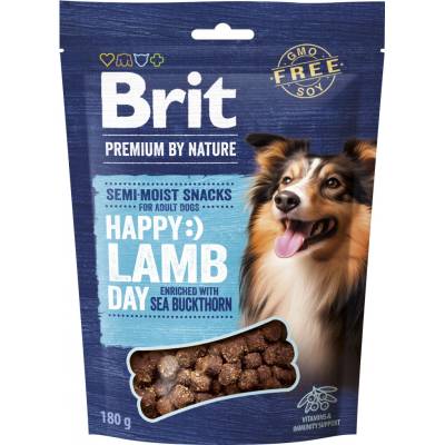 Brit Premium by Nature SM Snacks Lamb 180 g