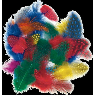 Peří z perličky 1g, 4-6cm - barevný mix