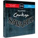 SAVAREZ 510ARJ