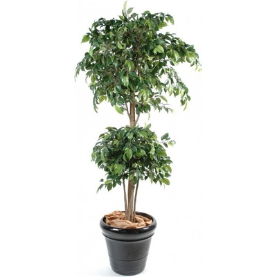 Luxusní umělý strom Ficus Double Ball, 180cm