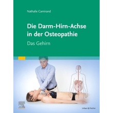 Die Achse Hirn-Darm-Becken in der Osteopathie