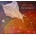 Mosskin - Time Left Behind CD