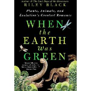 When the Earth Was Green | BLACK RILEY (ISBN: 9781250905574)