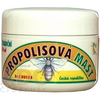 DR. Dudek Mast s propolisem 30 ml