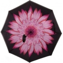 Obrátený dáždnik kvetina