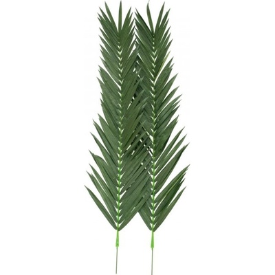 Palma list - kokos královský (kus), 210 cm