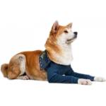 Medical pet shirts Mps Постоперативен калъф за 2 предни крака на куче xl