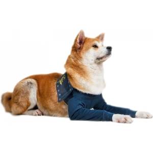Medical pet shirts Mps Постоперативен калъф за 2 предни крака на куче xl