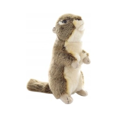 REALISTICKÁ SVIŠŤ EKO ZOO 20 cm