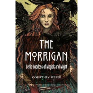 Morrigan (ISBN: 9781578636631)