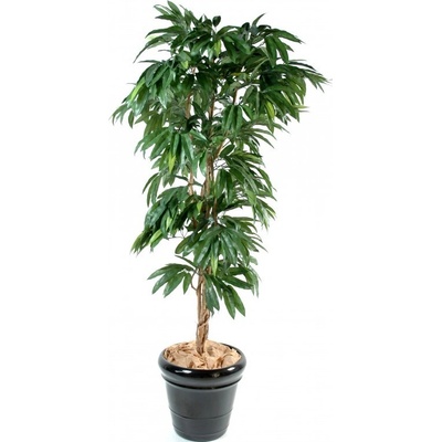 Umělý strom Mango - přírodní kmen, 150cm